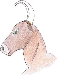 Wie hei&szlig; das Tier?