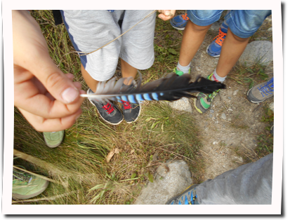 Eichelh&auml;her Feder