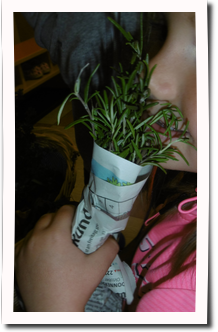 1 Kr&auml;uter riechen