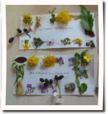 Farbpalette des Fr&uuml;hlings