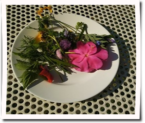 Nat&uuml;rliche Farben