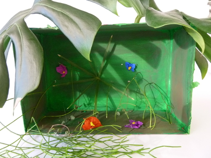 Mein Objekt ist au�enrum mit Kreppapier und gr�ner Farbe verziert. In dem Karton sind echte Pflanzen. Damit sie nicht austrocknen, habe ich sie durch L�cher gesteckt, so werden sie von der Innenseite mit Wasser versorgt.