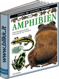 Amphibien titelbild