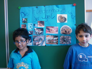 Flederm&auml;use und Igel