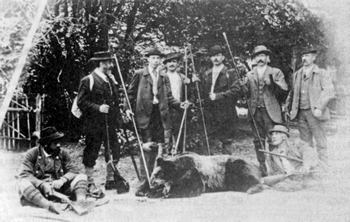 Der letzte Nordtiroler Braunb&auml;r. Quelle: Archiv BLU