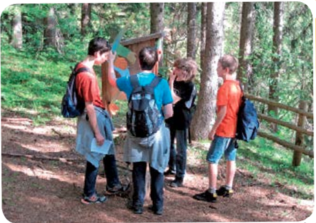 Schaukeln&ouml;rggele