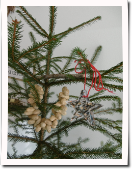 Adventkalender f&uuml;r Tiere (Kg Montal)