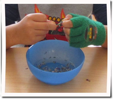 1. (Foto von Johanna Kr&ouml;ss)