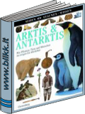 Arktis & Antarktis