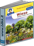 Wiese Blumen, Gräser und Tiere titelbild